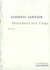 Doucement avec l'ange - Ludovic Janvier