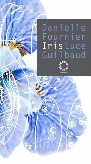 Iris - Danielle Fournier