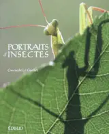 Portraits d'insectes - Gwenole Le Guellec