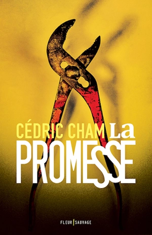 La promesse - Cédric Cham