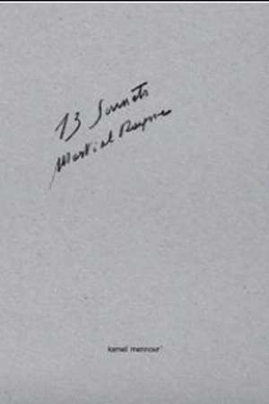 13 sonnets - Martial Raysse