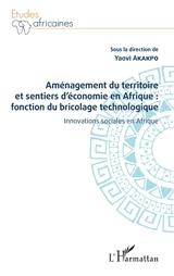 Aménagement du territoire et sentiers d'économie en Afrique : fonction du bricolage technologique : innovations sociales en Afrique