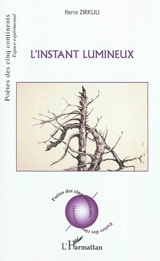 L'instant lumineux - Péter Zirkuli