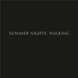 Robert Adams Summer Nights, Walking - Robert Adams