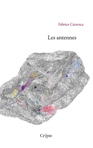 Les antennes - Fabrice Caravaca