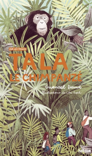 Tala le chimpanzé - Gwenaël David