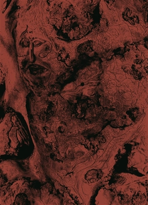 Lisières - Vincent Chevillon