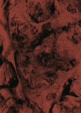 Lisières - Vincent Chevillon