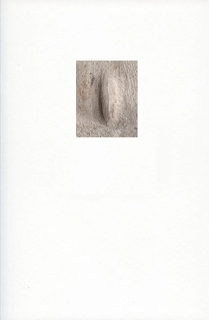 Tyndo de Thouars - Simon Boudvin