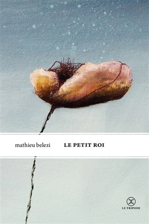 Le petit roi - Mathieu Belezi