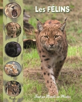 Les félins du monde - Christine Baillet