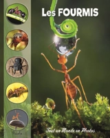 Les fourmis - Christine Baillet
