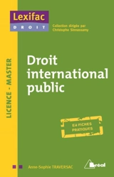 Droit international public : licence, master : en fiches pratiques - Anne-Sophie Michon-Traversac