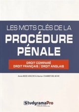 Les mots clés de la procédure pénale : droit comparé droit français-droit anglais - Annie Beziz-Ayache
