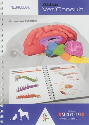 Neurologie - Laurent Fuhrer