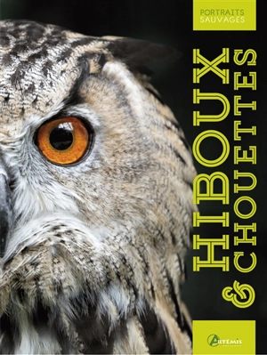 Hiboux & chouettes - Michel Cuisin