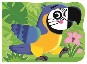 Perroquet - Marcella Grassi