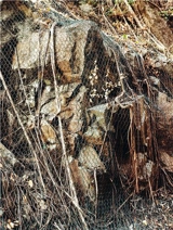 Kwai Shing West Estate - Pascal Greco