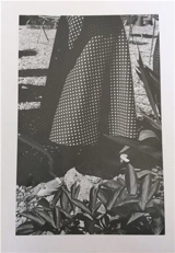 Si mes larmes coulaient dans tes yeux - Gilles Pourtier