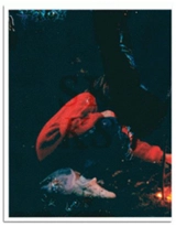 SKKS - Gilles Pourtier