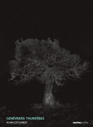 Genévriers thurifères, Juniperus thurifera - Alain Ceccaroli