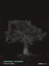 Genévriers thurifères, Juniperus thurifera - Alain Ceccaroli