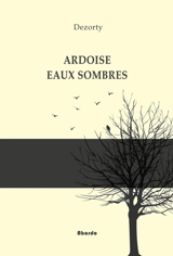 Ardoise, eaux sombres - Dimitri Dezorty