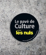 Le pavé de culture pour les nuls - Florence Braunstein