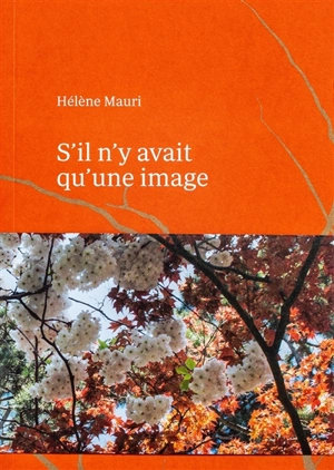 S'il n'y avait qu'une image - Hélène Mauri