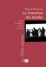 La formation des bandes : entre la famille, l'école et la rue - Marwan Mohammed