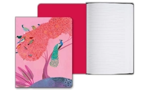 Oiseaux : grand carnet