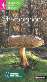 Champignons - Helga Hofmann