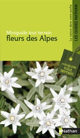 Fleurs des Alpes - Helga Hofmann