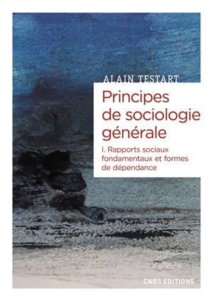 Principes de sociologie générale. Vol. 1. Rapports sociaux fondamentaux et formes de dépendance - Alain Testart