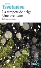 La tempête de neige. Une aventure : 2 pièces romantiques - Marina Ivanovna Tsvetaeva