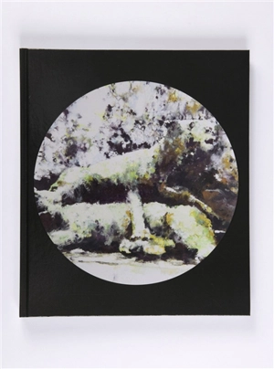 Echo - Philippe Cognée