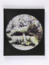 Echo - Philippe Cognée