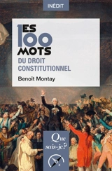 Les 100 mots du droit constitutionnel - Benoît Montay