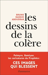Les dessins de la colère - Bruno-Nassim Aboudrar