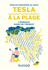 Tesla à la plage : l'énergie dans un transat - Nicolas Chevassus-au-Louis