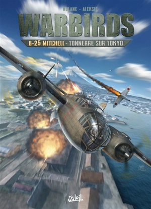Warbirds. B-25 Mitchell : tonnerre sur Tokyo - Richard D. Nolane