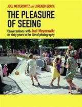 The Pleasure of Seeing - Joel Meyerowitz