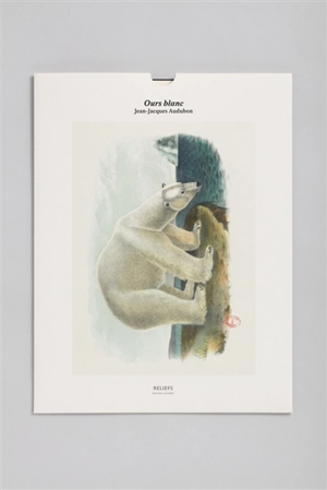 Ours blanc - John James Audubon