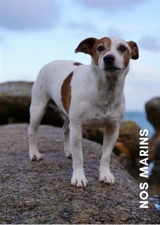 Nos marins - Florent Vintrigner