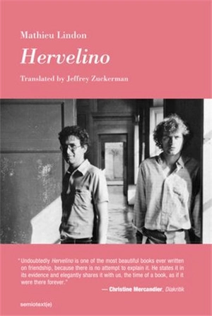 Mathieu Lindon Hervelino - Mathieu Lindon