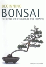 Beginning Bonsai - Larry Student