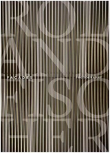 Roland Fischer Facades (Paperback) - Petra Giloy-Hirtz