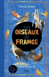 Les rares oiseaux de France - Thomas Brosset