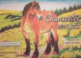 Chaussettes : le maître du Cézallier et de la Margeride - Gisèle Larraillet