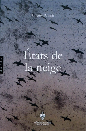 Etats de la neige - Brigitte Baumié